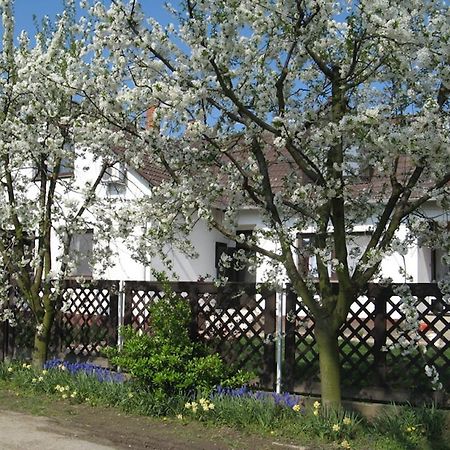 Ferienwohnung Nagy Vendeghazak Nagykoru Exterior foto