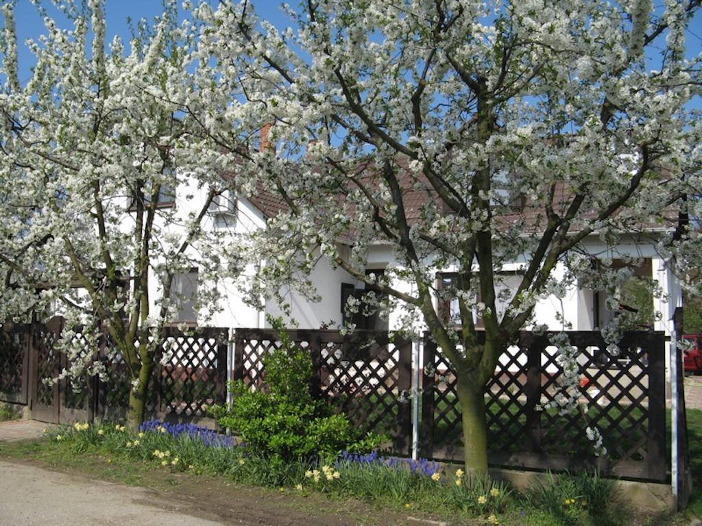 Ferienwohnung Nagy Vendeghazak Nagykoru Exterior foto